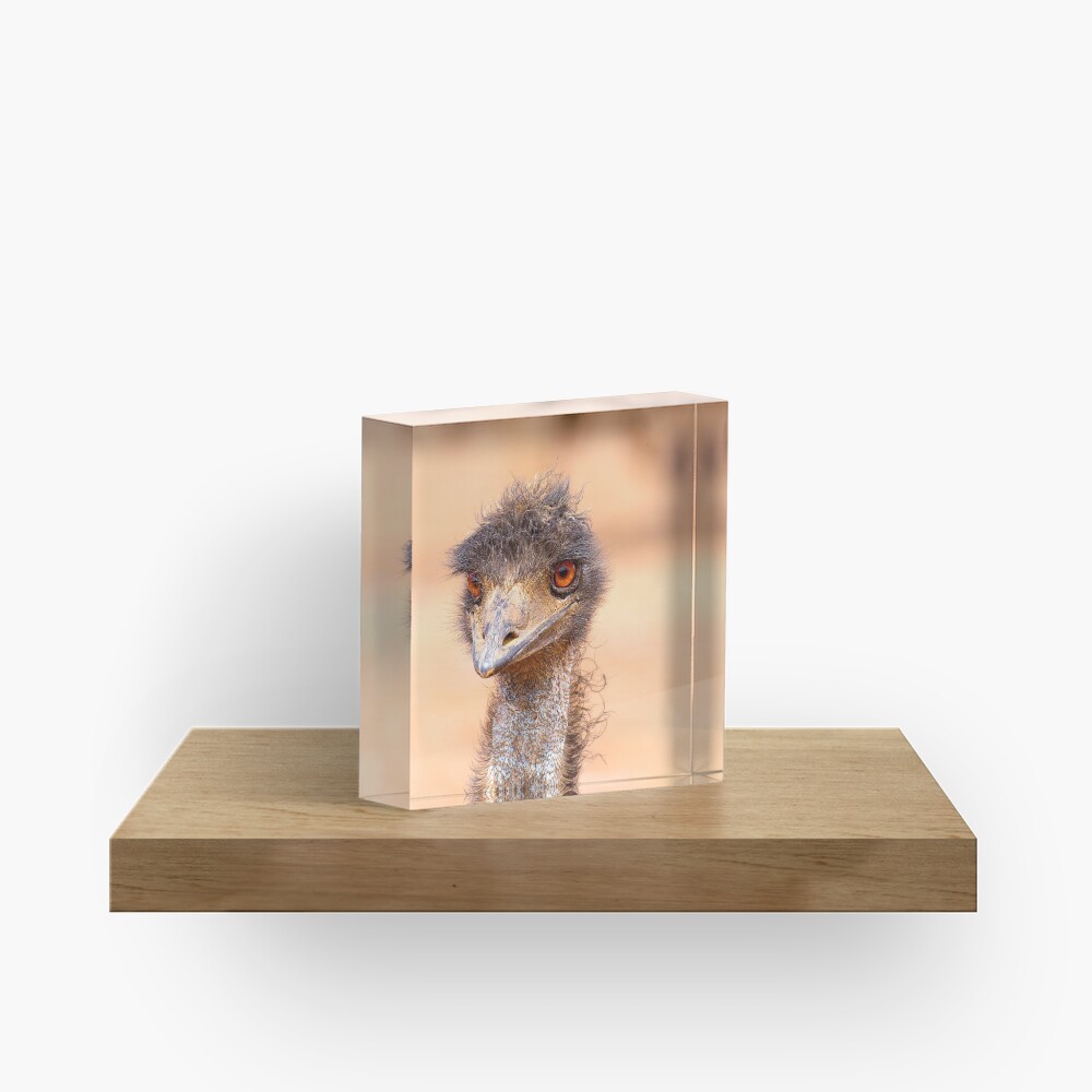 Item preview, Acrylic Block designed and sold by RICHARDW.