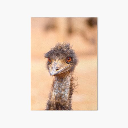 Emu Eyes Art Board Print