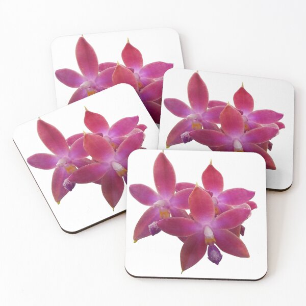 Item preview, Dark Pink Phalaenopsis Orchid Hybrid  designed and sold by Floral-Art.