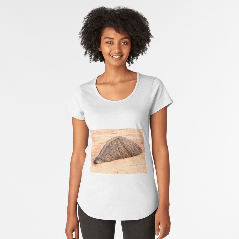 Item preview, Premium Scoop T-Shirt designed and sold by RICHARDW.