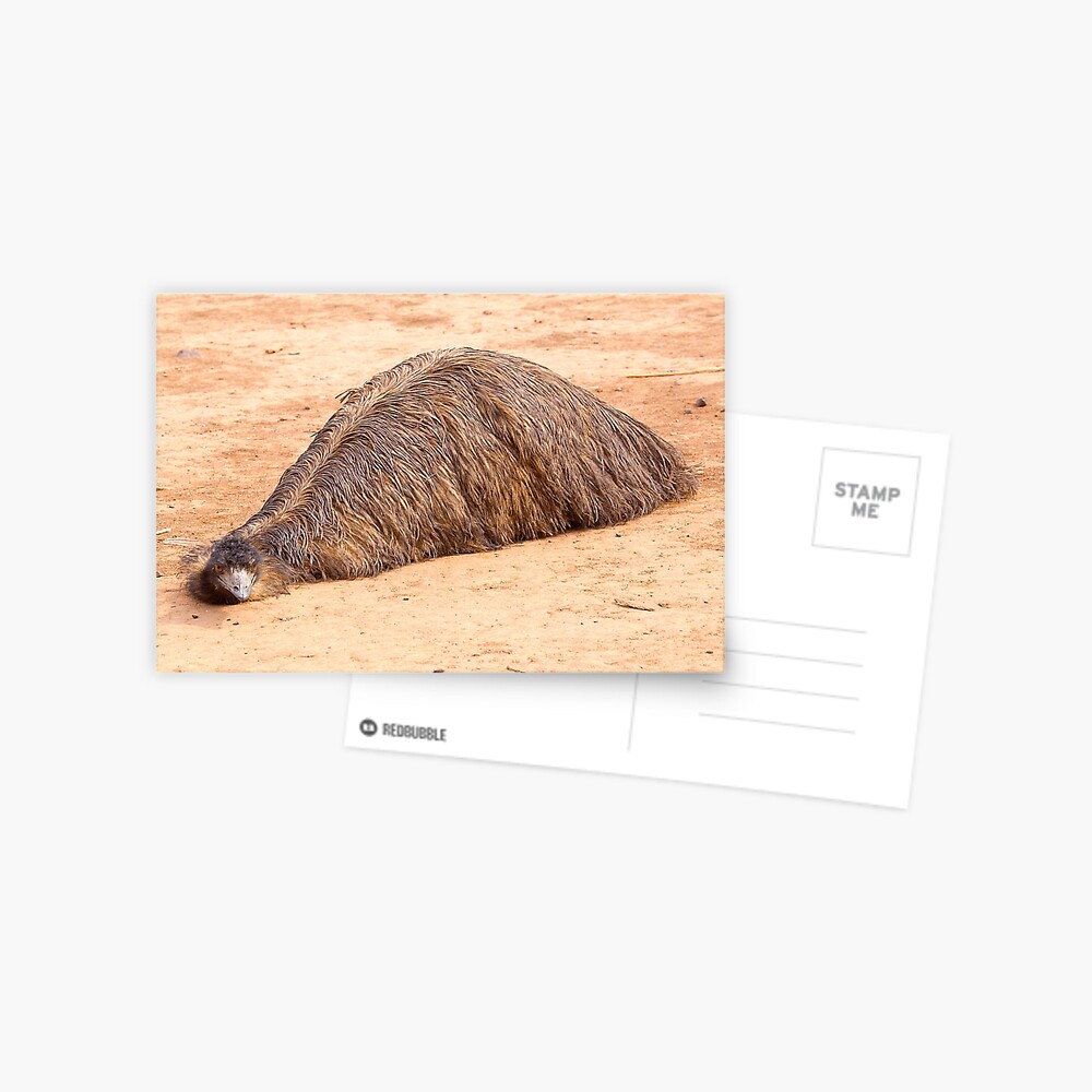 Item preview, Postcard designed and sold by RICHARDW.