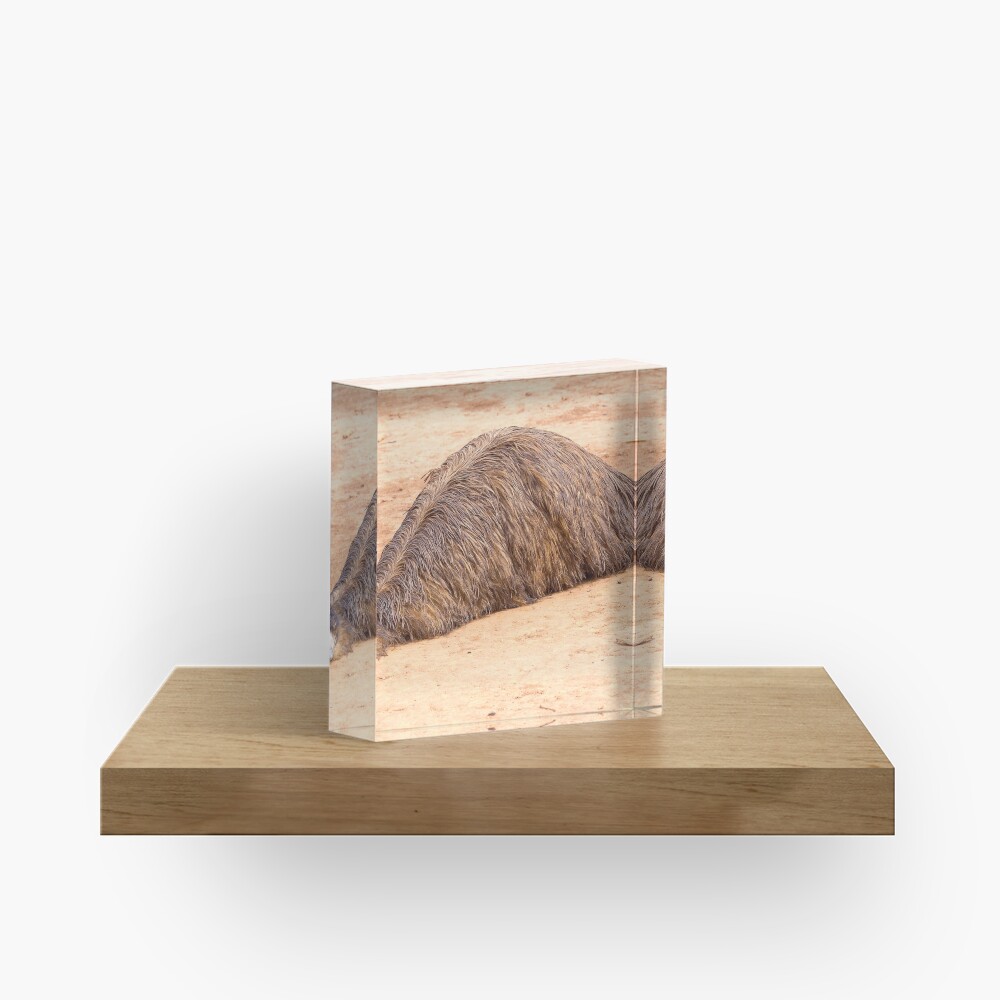 Item preview, Acrylic Block designed and sold by RICHARDW.
