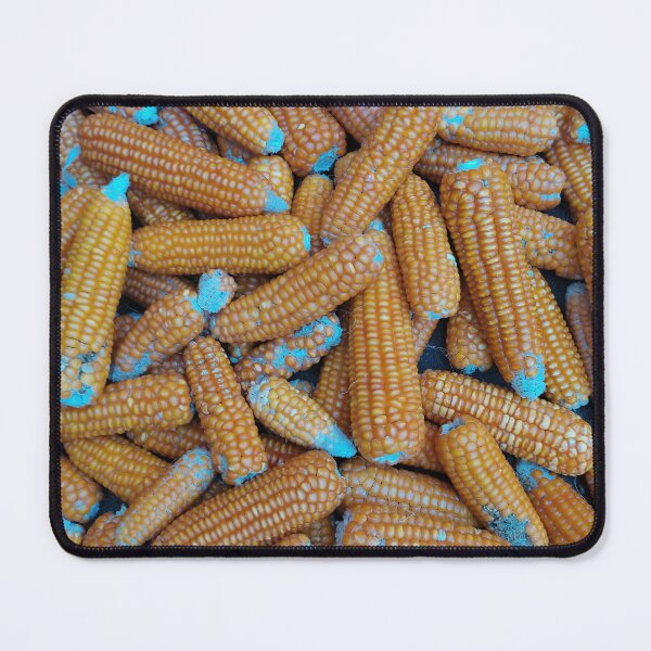 Item preview, Corn design for autumn season designed and sold by aissa003.