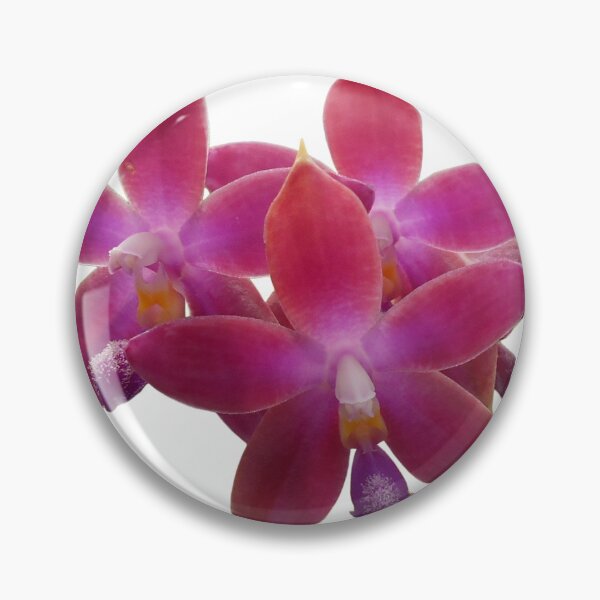 Item preview, Dark Pink Phalaenopsis Orchid Hybrid  designed and sold by Floral-Art.