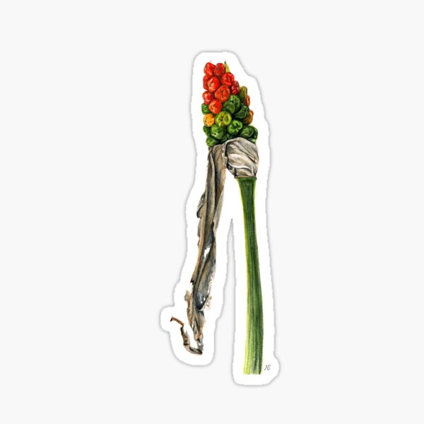 Arum Sticker