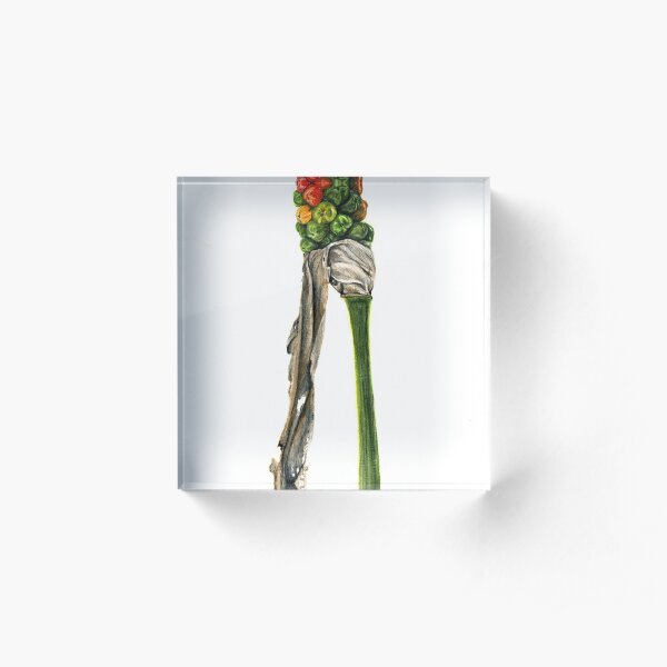 Arum Acrylic Block