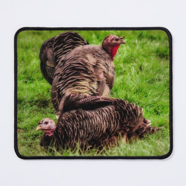 Item preview, turkeys on green grass designed and sold by Francespoppy.