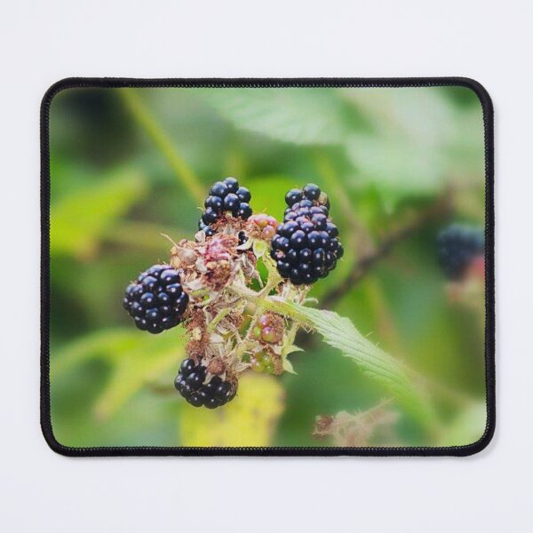 Item preview, wild blackberries designed and sold by Francespoppy.