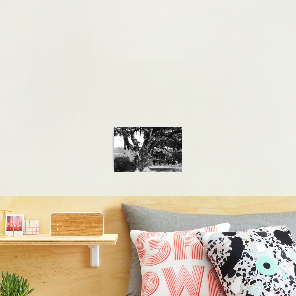 Item preview, Photographic Print designed and sold by mvpaskvan.