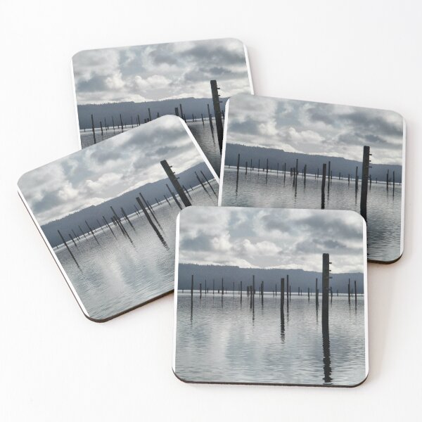 Item preview, Washington State designed and sold by Warren Hsu.