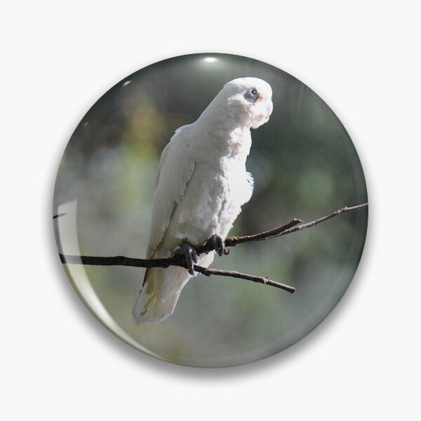 Item preview, Cockatoo, Parramatta, Australia 20190408 designed and sold by muz2142.