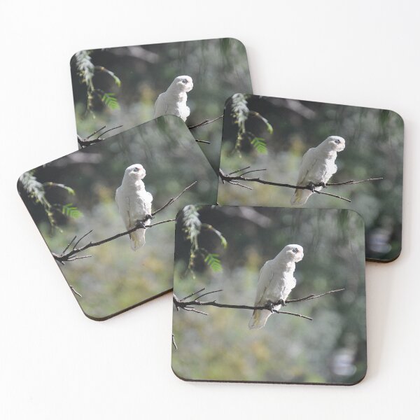 Item preview, Cockatoo, Parramatta, Australia 20190408 designed and sold by muz2142.