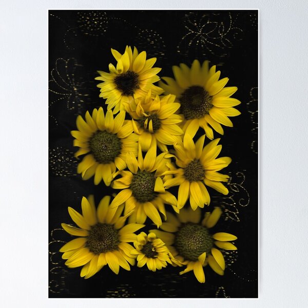 Sunflower Galaxy Dark Floral Poster