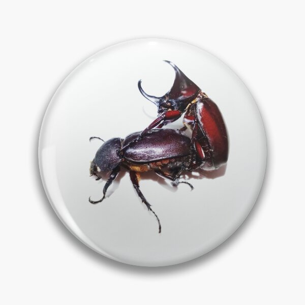 Item preview, Bug horn beetle female and male super love. designed and sold by Pattanapong Pongampai.