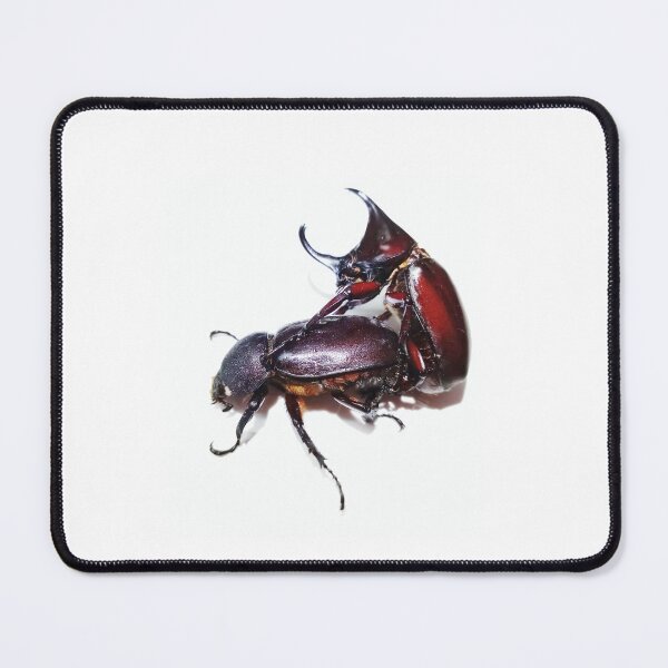 Item preview, Bug horn beetle female and male super love. designed and sold by Pattanapong Pongampai.