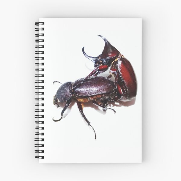 Item preview, Bug horn beetle female and male super love. designed and sold by Pattanapong Pongampai.