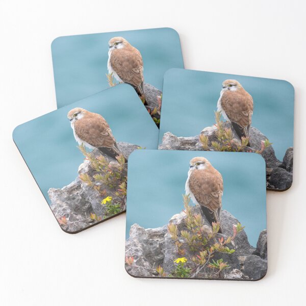 Item preview, Nankeen Kestrel, Australian Bird Of Prey designed and sold by Andrew Goodall.