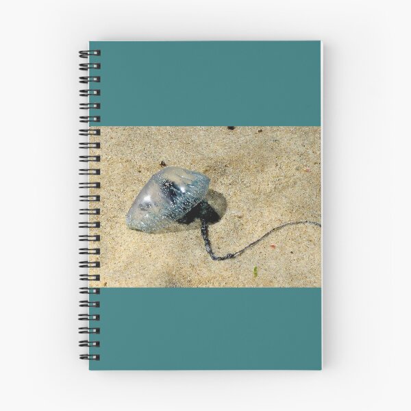 Item preview, Bondi Bluebottle designed and sold by Linda Bianic.
