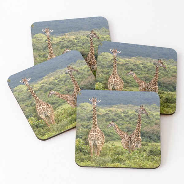 Item preview, Girraffes, Arusha National Park, Tanzania designed and sold by Andrew Goodall.