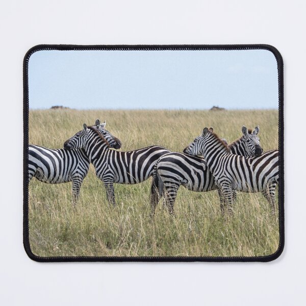 Item preview, Zebras: Sticking together. Serengeti National Park designed and sold by Andrew Goodall.
