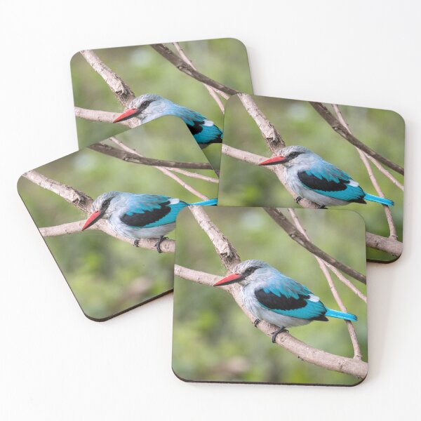 Item preview, Woodland Kingfisher, Ngorongoro Crater, Tanzania designed and sold by Andrew Goodall.