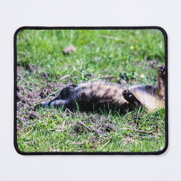 Item preview, funny tabby cat designed and sold by Francespoppy.