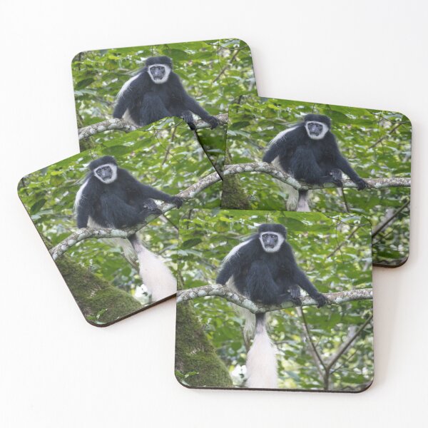 Item preview, Black and White Colobus Monkey, Arusha National Park Tanzania designed and sold by Andrew Goodall.