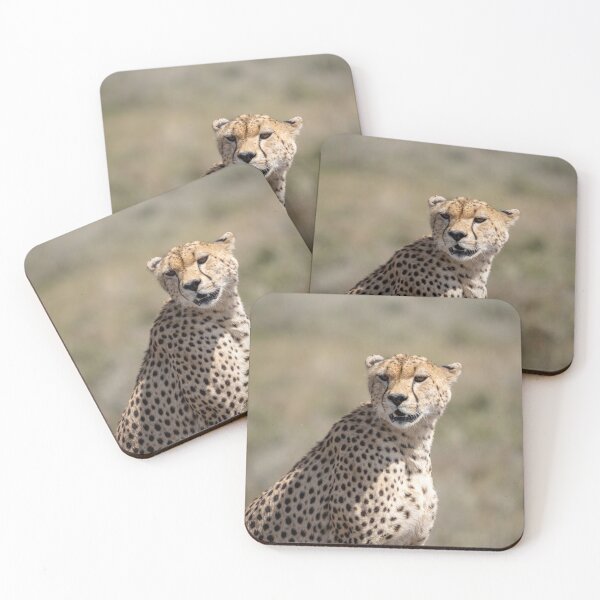 Item preview, Cheetah Close-Up, Serengeti National Park designed and sold by Andrew Goodall.