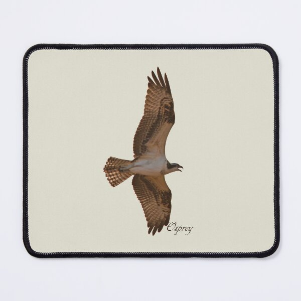 Item preview, Osprey in Flight designed and sold by Whisperingpeaks.