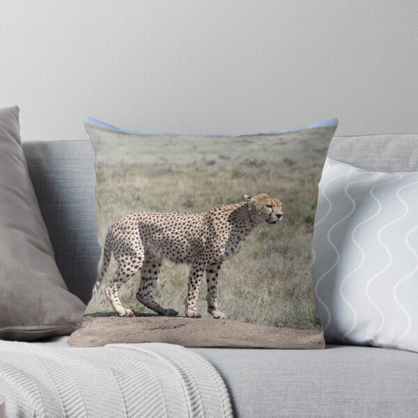 Item preview, Cheetah on the Serengeti, Tanzania designed and sold by Andrew Goodall.