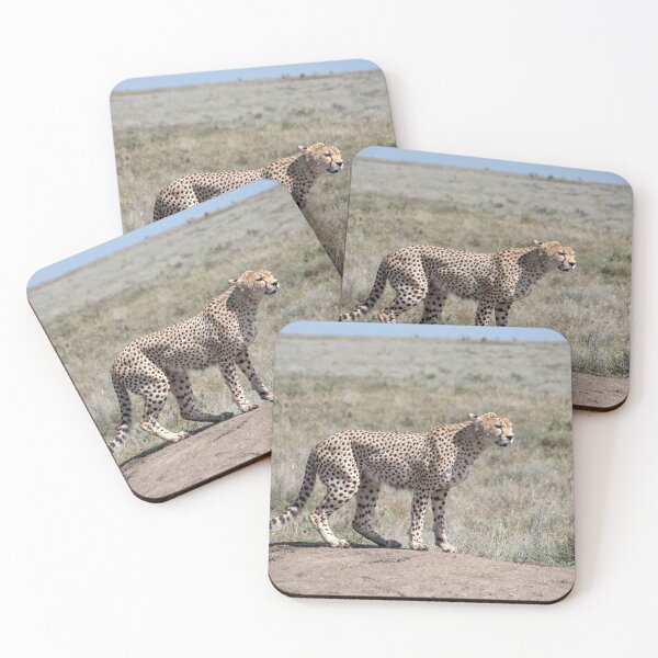 Item preview, Cheetah on the Serengeti, Tanzania designed and sold by Andrew Goodall.