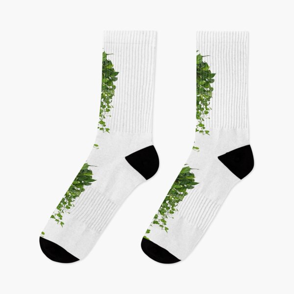 Item preview, Hanging Plants designed and sold by virillanissa.