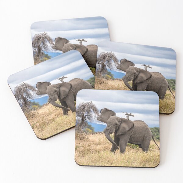Item preview, Elephant Waving At The Camera, Tarangire National Park, Tanzania designed and sold by Andrew Goodall.