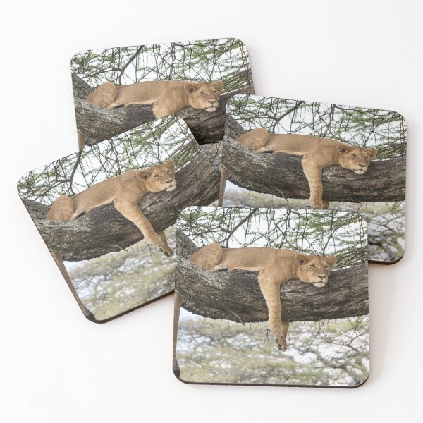 Item preview, Lion Around: African Lion Up A Tree designed and sold by Andrew Goodall.