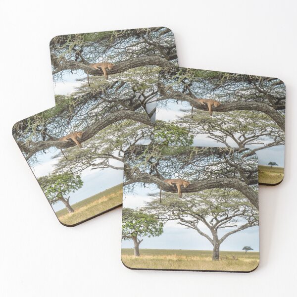 Item preview, Serengeti Lion, African Wildlife Photography designed and sold by Andrew Goodall.