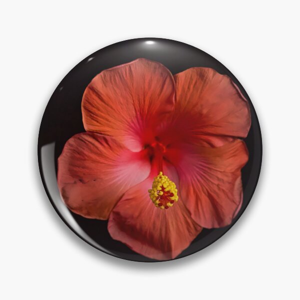 Item preview, Coral Hibiscus Flower designed and sold by Elizabeth Leitzke.