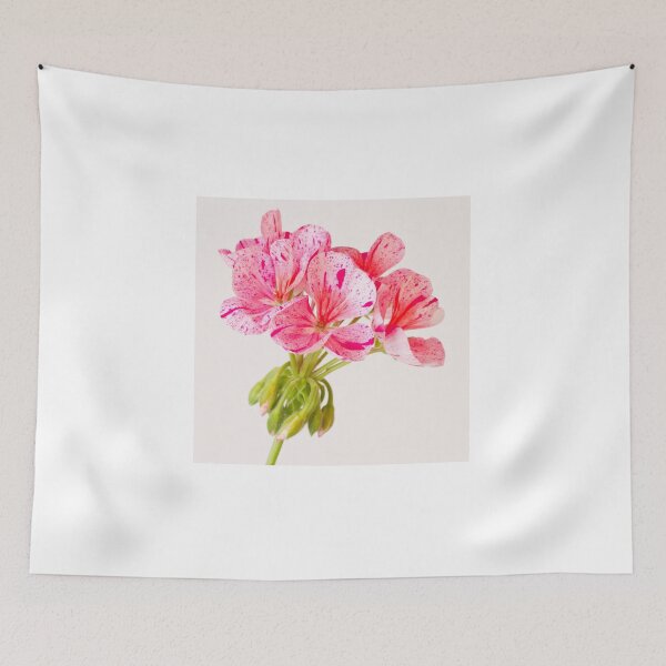 Item preview, Variegated Pink Geranium  designed and sold by Sandra Foster.