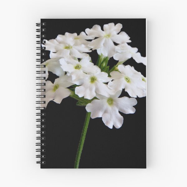 Item preview, White Tukana Verbena Flower designed and sold by Sandra Foster.