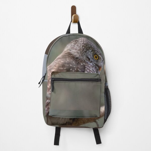Item preview, Real owl photo with matching color bars designed and sold by Designs24U.
