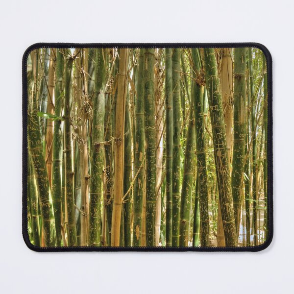Item preview, A View from the Bamboo Forest designed and sold by Steven Jodoin.