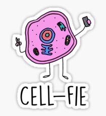 Funny Biology Shirts Women Men Tee Gift Sticker