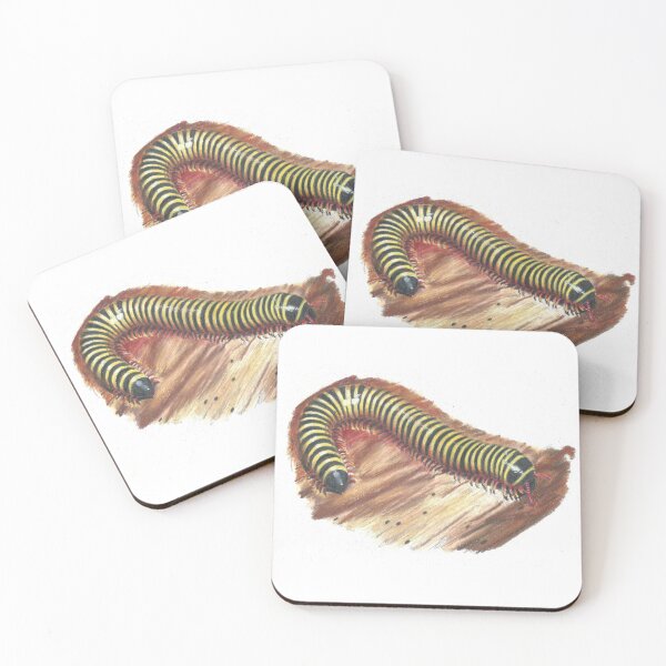 Item preview, A millipede walking on wooden floor designed and sold by Mint-Cloud-Art.