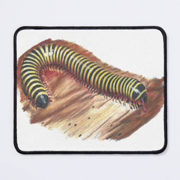 Item preview, A millipede walking on wooden floor designed and sold by Mint-Cloud-Art.