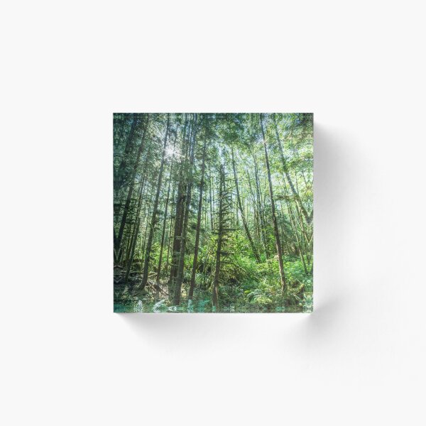 Item preview, Hoh Rainforest # 3 designed and sold by Sidetrakn.
