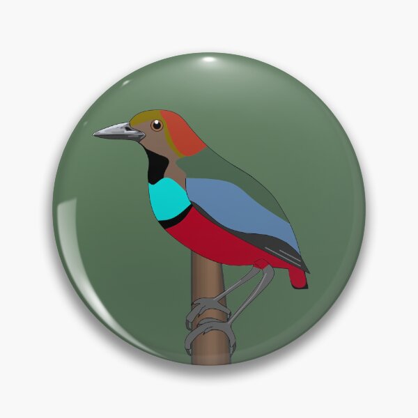 Item preview, Papuan Pitta, Iron Range designed and sold by CairnsBirders.