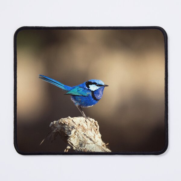 Item preview, Little Bluey designed and sold by Ladyshark.