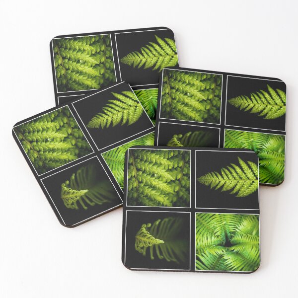 Item preview, Ferns by Four designed and sold by Ladyshark.