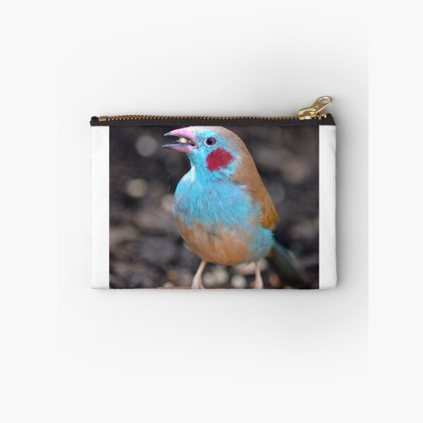 Item preview, Cordon Bleu Finch designed and sold by richardbryce.