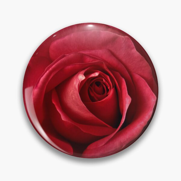 Item preview, Red Rose in Blooming Perfection designed and sold by Steven Jodoin.