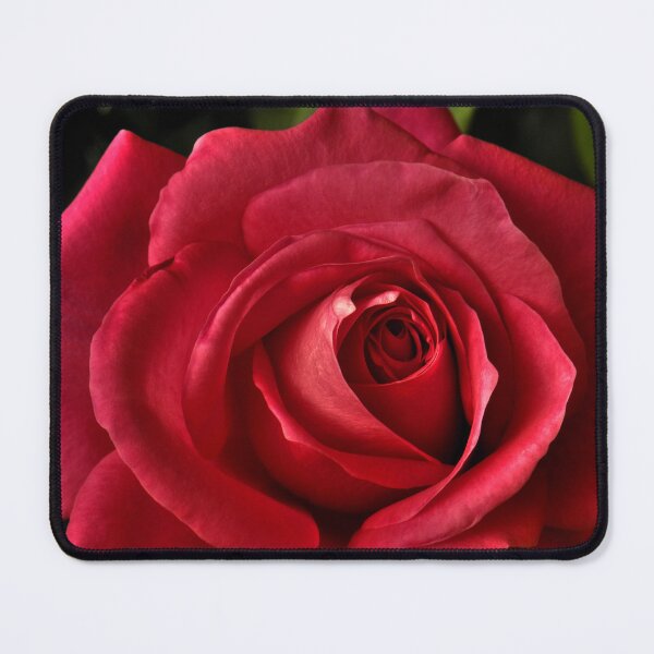 Item preview, Red Rose in Blooming Perfection designed and sold by Steven Jodoin.